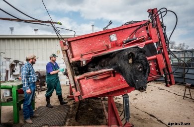 veterinarian Chase Reed